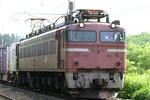 EF81-5