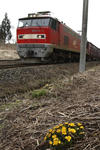 EF510-5