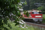 EF510-13