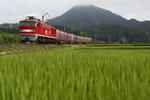 EF510-13