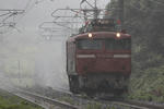 EF81-146