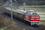 EF81-95+nagomi