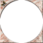 09.png