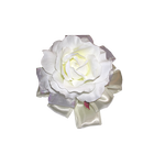 小物.png