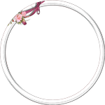 内枠.png