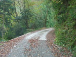 f4632635.JPG