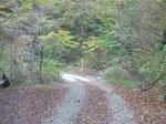 68e5518d.JPG
