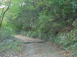 5f32b117.JPG