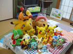 滋賀ポケオフ後編 オフ会で着ぐるみ ナキイルカは ブログを はじめた