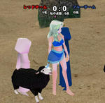 mabinogi_2011_08_14_005.jpg