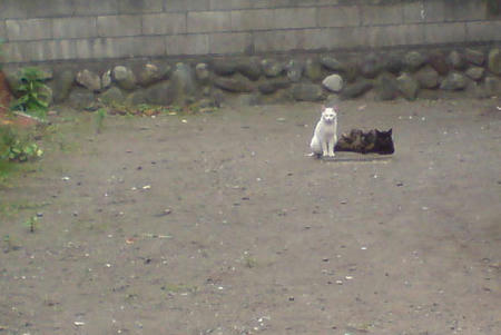 05.23.jpg