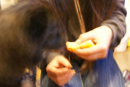 01.20-3.jpg