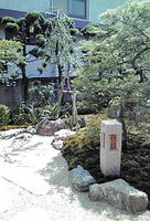 20100612135249.jpg