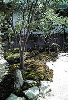 20100612135310.jpg