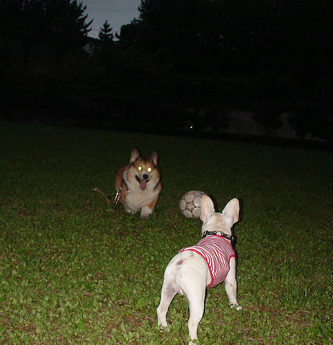 070724_6.jpg