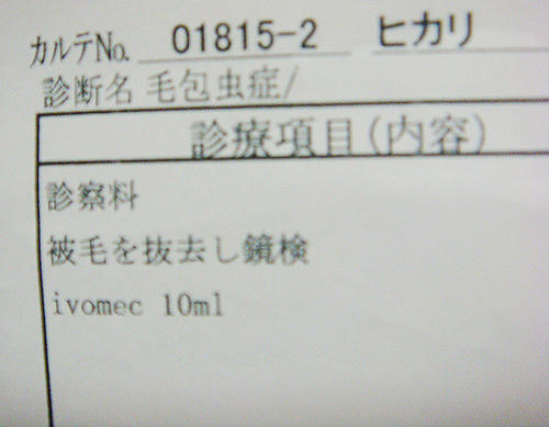 070806_1..jpg