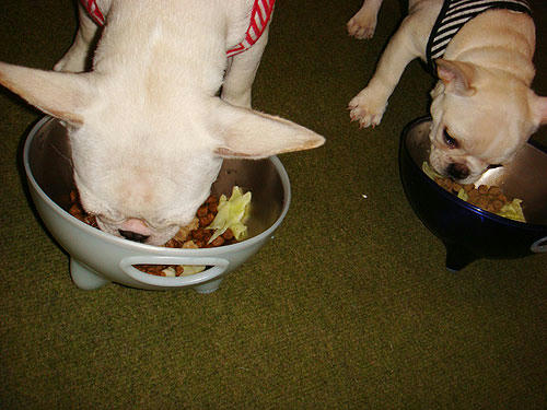 070807_4.jpg