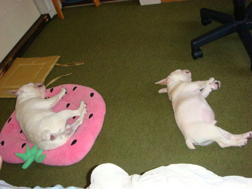 070808_4.jpg