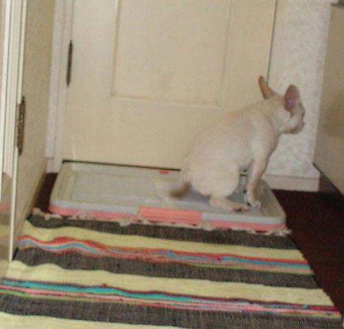 070810_5.jpg