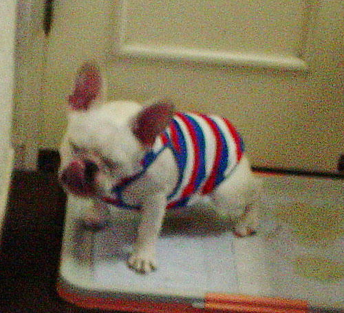 070810_6.jpg