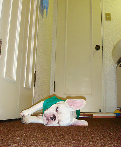 070814_6.jpg