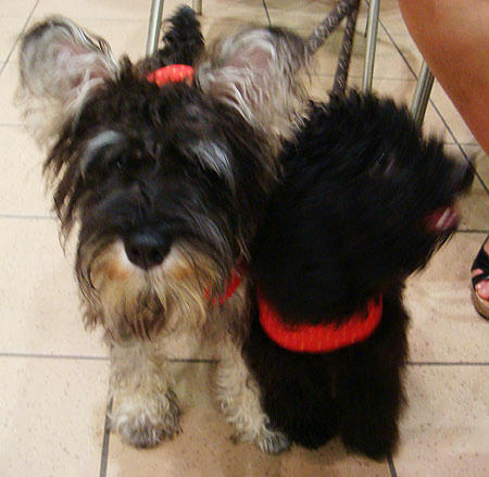 20070822_1.jpg