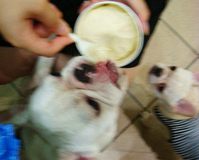 20070822_3.jpg