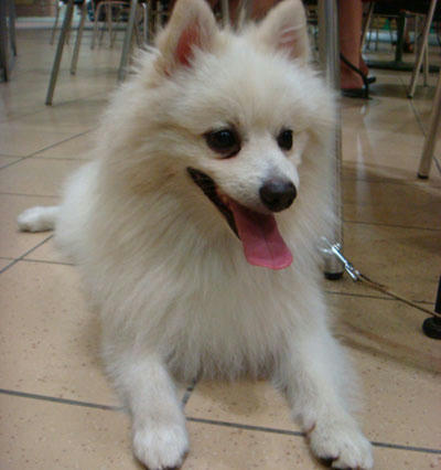 20070822_4.jpg