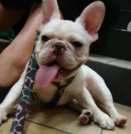 20070822_6.jpg