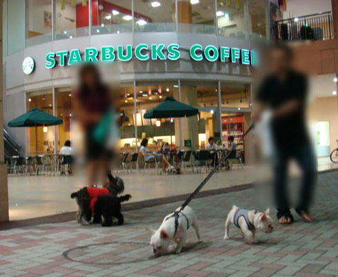 20070822_7.jpg