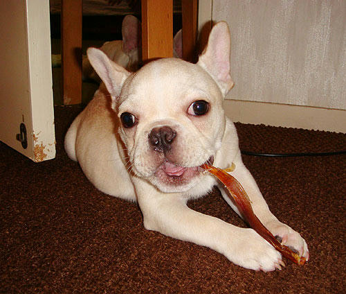 20070823_2.jpg