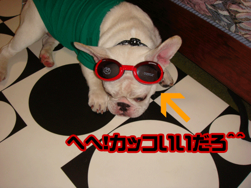 20070824_1.gif