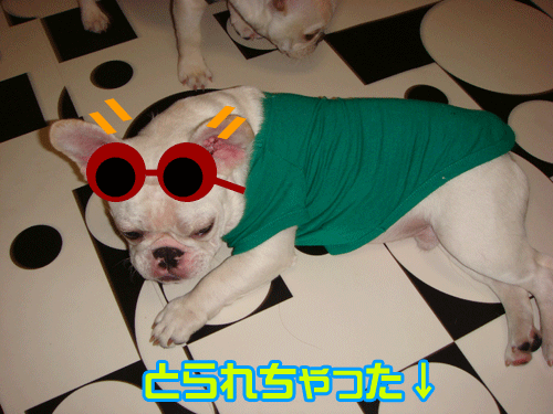 20070824_3.gif