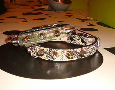 070904_1.jpg