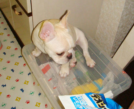 20070906_2.jpg