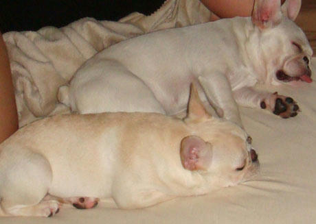 20070917_1.jpg
