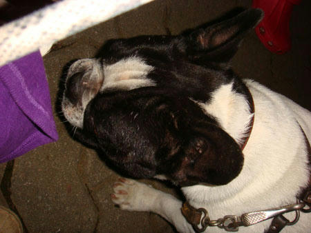 070920_5.jpg