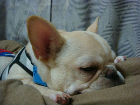 071004_3.jpg