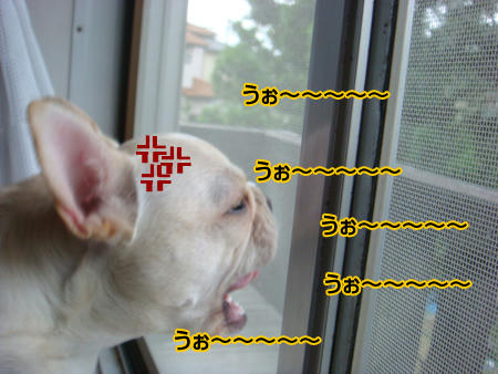 071012_5.jpg