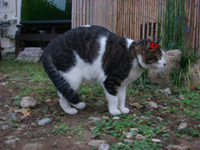 20071017_1.jpg