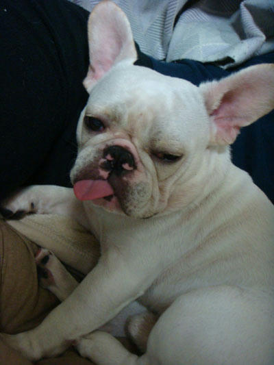 20071017_2.jpg