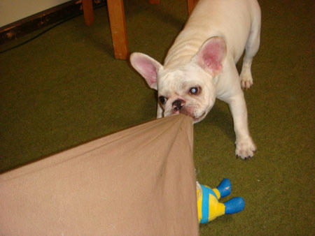 20071019_1.jpg
