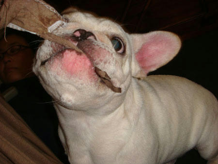 20071019_2.jpg