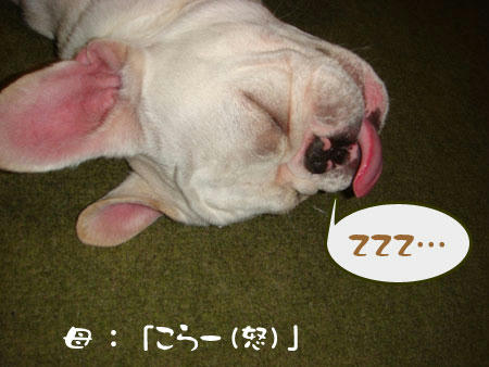 20071019_6.jpg