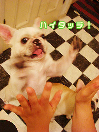 20071022_1.jpg