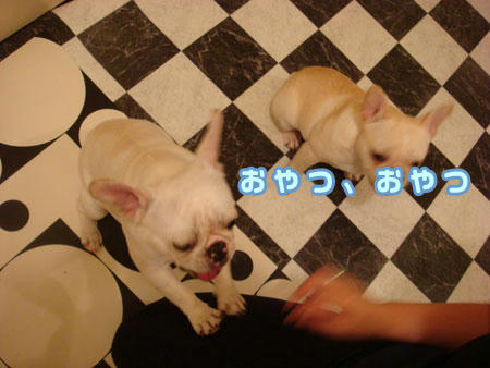 20071022_2.jpg