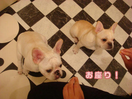 20071022_3.jpg