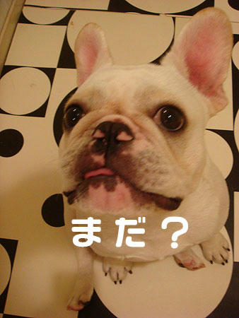 20071022_5.jpg