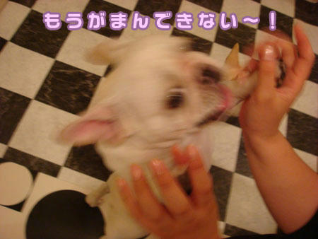 20071022_6.jpg