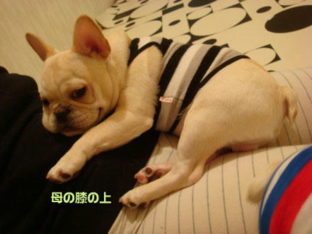 20071023_1.jpg